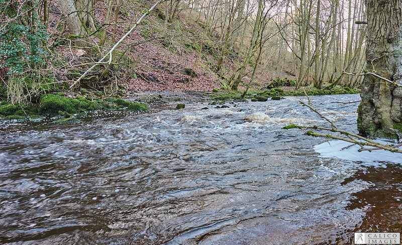_Z008883 Deepdale...
