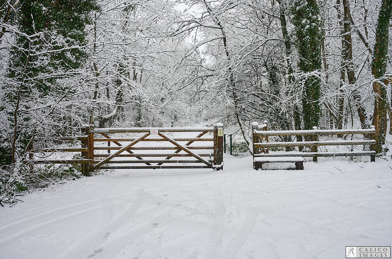 _Z008981 Snowy entrance to Deepdale Nature...