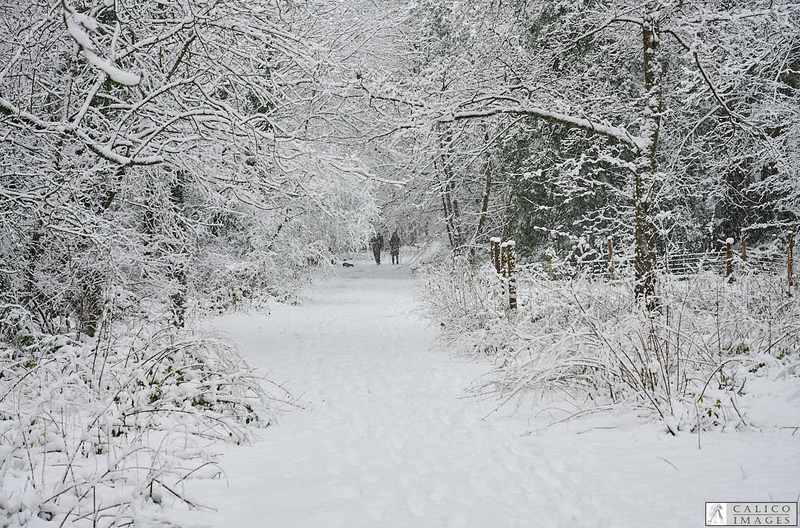 _Z008983 Distant people walking in snow covered Deepdale Nature...