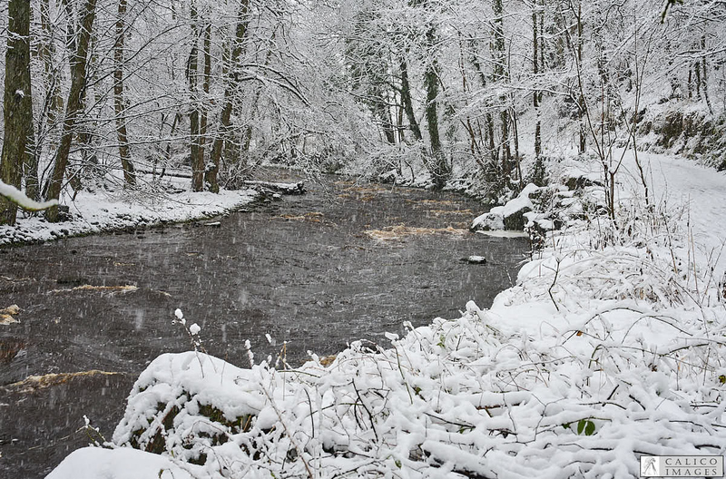 _Z008986 Deepdale Beck with...
