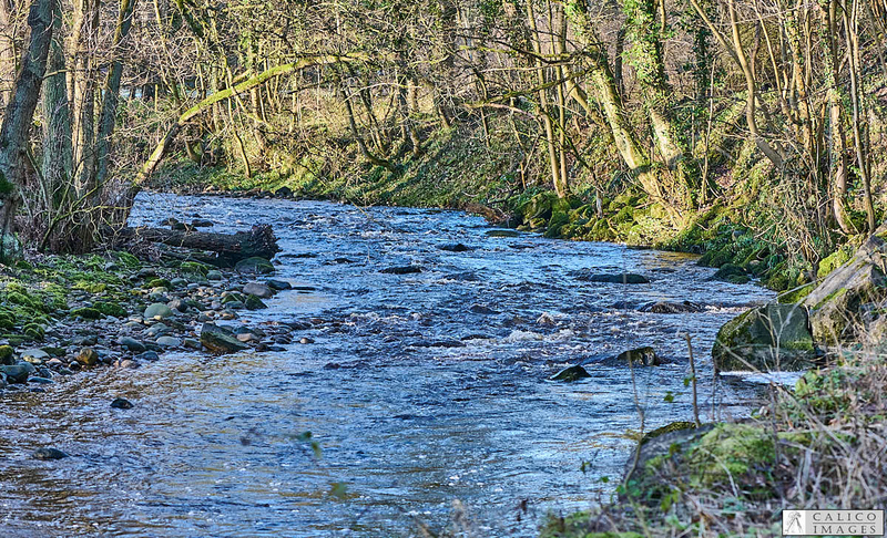 _A028633 A more peaceful Deepdale...