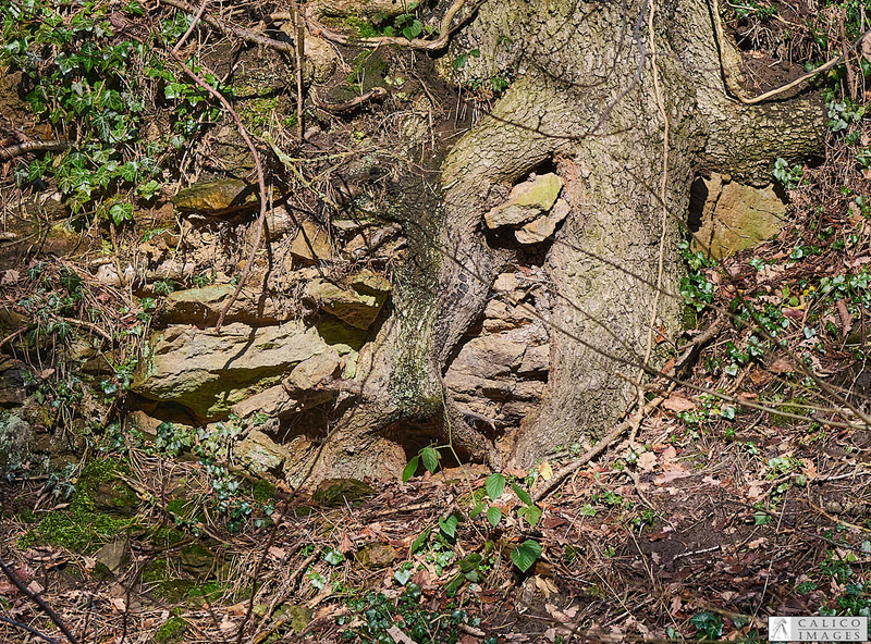 _A028741 Rocks and...