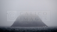 _C004036