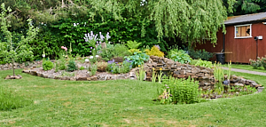 General view of pond and mound