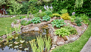 Closer view of pond and mound