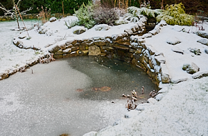 Snow in garden and on pond