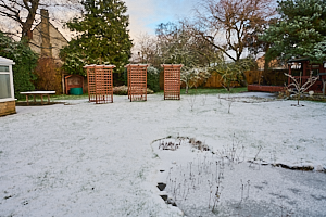Snow in garden
