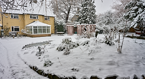 Snow covered garden