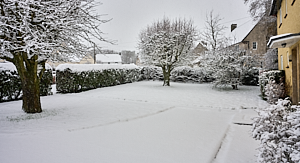 Snow covered garden