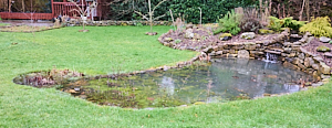 Over full garden pond