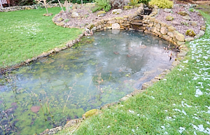 Pond with frozen surface water