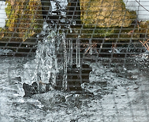Frozen water sculpture