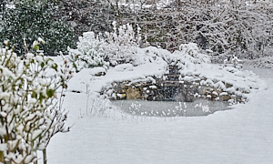 Snow covered pond