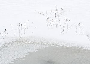 Snow covered pond disappearing into garden