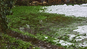 Waterlogged garden