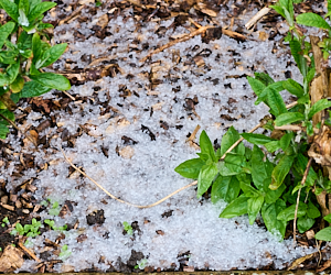 Hail on the ground in April