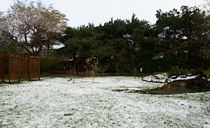 A little bit of snow in garden