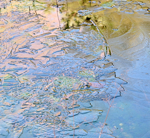Colours on a frozen pond