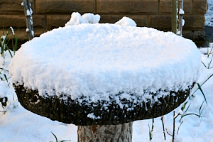 SNow covered bird bath