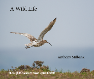 Front cover of a lithographically printed book